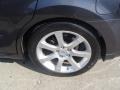 Precision Gray Metallic - Maxima 3.5 SE Photo No. 7