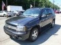 Dark Gray Metallic - TrailBlazer LS 4x4 Photo No. 5