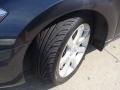 Precision Gray Metallic - Maxima 3.5 SE Photo No. 8