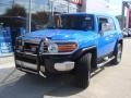 2007 Voodoo Blue Toyota FJ Cruiser 4WD  photo #3