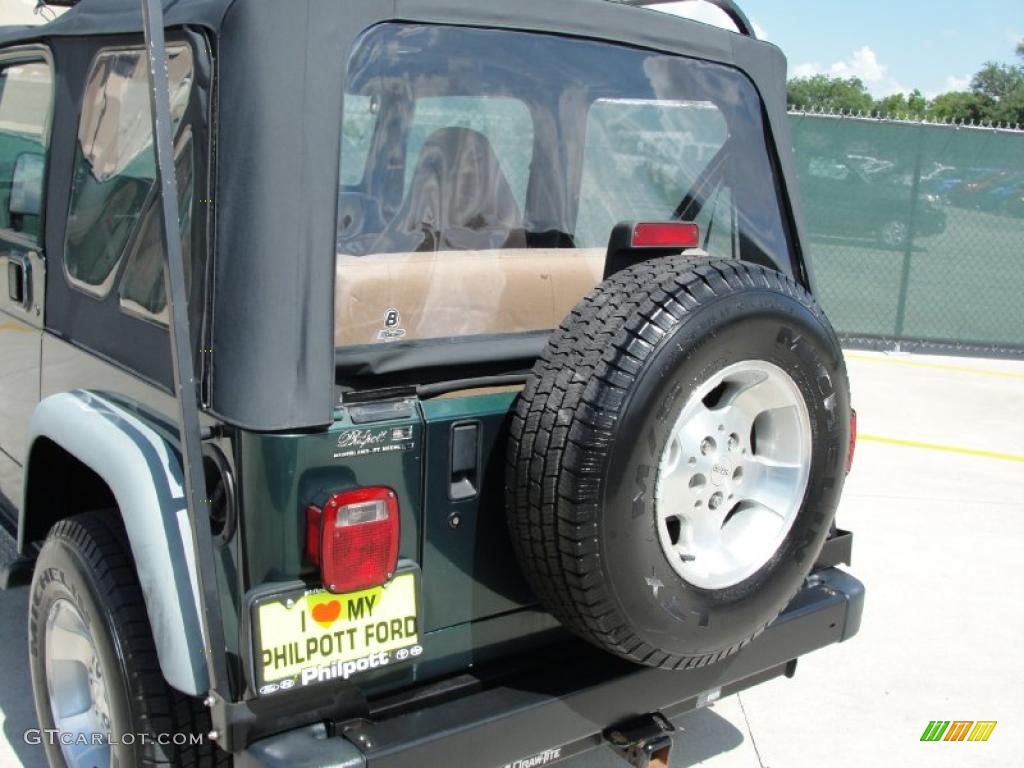 2001 Wrangler Sport 4x4 - Forest Green / Camel photo #23