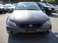 Graphite Gray Pearl - IS 300 Photo No. 3