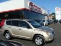 Beige Metallic - RAV4 4WD Photo No. 1