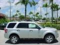 Silver Metallic - Escape XLT Photo No. 5