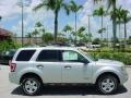 2008 Silver Metallic Ford Escape XLT  photo #5