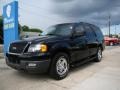2005 Black Clearcoat Ford Expedition XLT 4x4  photo #4