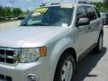 2008 Silver Metallic Ford Escape XLT  photo #14