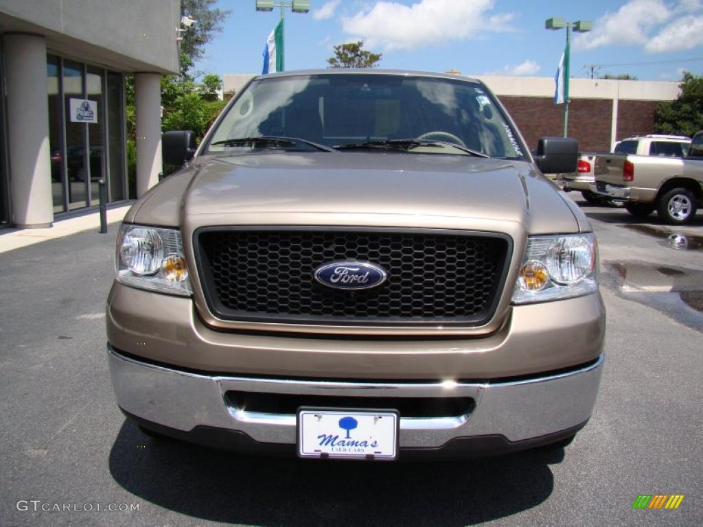 2006 F150 XLT Regular Cab - Arizona Beige Metallic / Tan photo #3