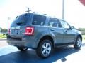 2010 Steel Blue Metallic Ford Escape Limited V6  photo #3