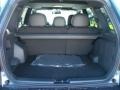 2010 Steel Blue Metallic Ford Escape Limited V6  photo #11