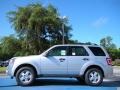 2010 Ingot Silver Metallic Ford Escape XLT V6  photo #2