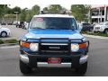 Voodoo Blue - FJ Cruiser 4WD Photo No. 6