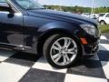 2008 Capri Blue Metallic Mercedes-Benz C 300 Luxury  photo #30