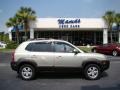 2006 Sahara Silver Hyundai Tucson GLS V6  photo #40