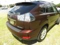 2008 Brandywine Mica Lexus RX 350  photo #14