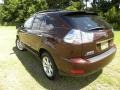 2008 Brandywine Mica Lexus RX 350  photo #16