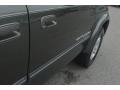 Phantom Gray Pearl - Tundra SR5 Access Cab 4x4 Photo No. 12