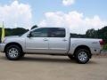 Radiant Silver - Titan SE Crew Cab 4x4 Photo No. 12