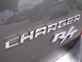 2010 Dark Titanium Metallic Dodge Charger R/T  photo #9