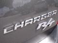 Dark Titanium Metallic - Charger R/T Photo No. 9