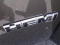 2010 Dark Titanium Metallic Dodge Charger R/T  photo #11