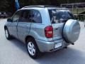 2004 Everglade Green Metallic Toyota RAV4 4WD  photo #3