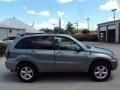 2004 Everglade Green Metallic Toyota RAV4 4WD  photo #10