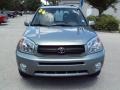 Everglade Green Metallic - RAV4 4WD Photo No. 14