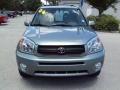 2004 Everglade Green Metallic Toyota RAV4 4WD  photo #14