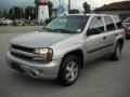 Silverstone Metallic - TrailBlazer LS 4x4 Photo No. 3