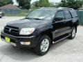 2004 Black Toyota 4Runner Limited  photo #7