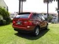 2003 Sienna Red Metallic BMW X5 3.0i  photo #6