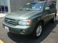 Oasis Green Pearl - Highlander Limited 4WD Photo No. 1