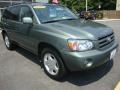 Oasis Green Pearl - Highlander Limited 4WD Photo No. 7