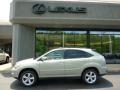 Bamboo Green Pearl - RX 350 AWD Photo No. 2