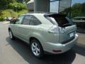 Bamboo Green Pearl - RX 350 AWD Photo No. 3