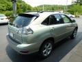 Bamboo Green Pearl - RX 350 AWD Photo No. 5