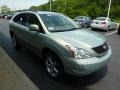 Bamboo Green Pearl - RX 350 AWD Photo No. 6