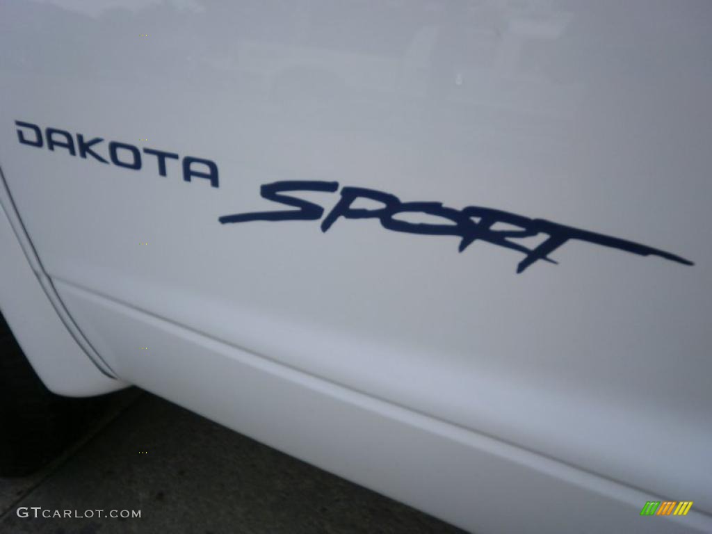 2000 Dakota Sport Crew Cab 4x4 - Bright White / Mist Gray photo #9