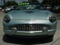 2004 Light Ice Blue Metallic Ford Thunderbird Deluxe Roadster  photo #15