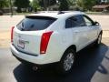 Platinum Ice Tricoat - SRX V6 Photo No. 4