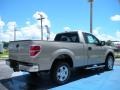 2010 Pueblo Gold Metallic Ford F150 XLT Regular Cab  photo #3