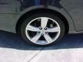 Smoky Granite Mica - GS 350 Photo No. 4