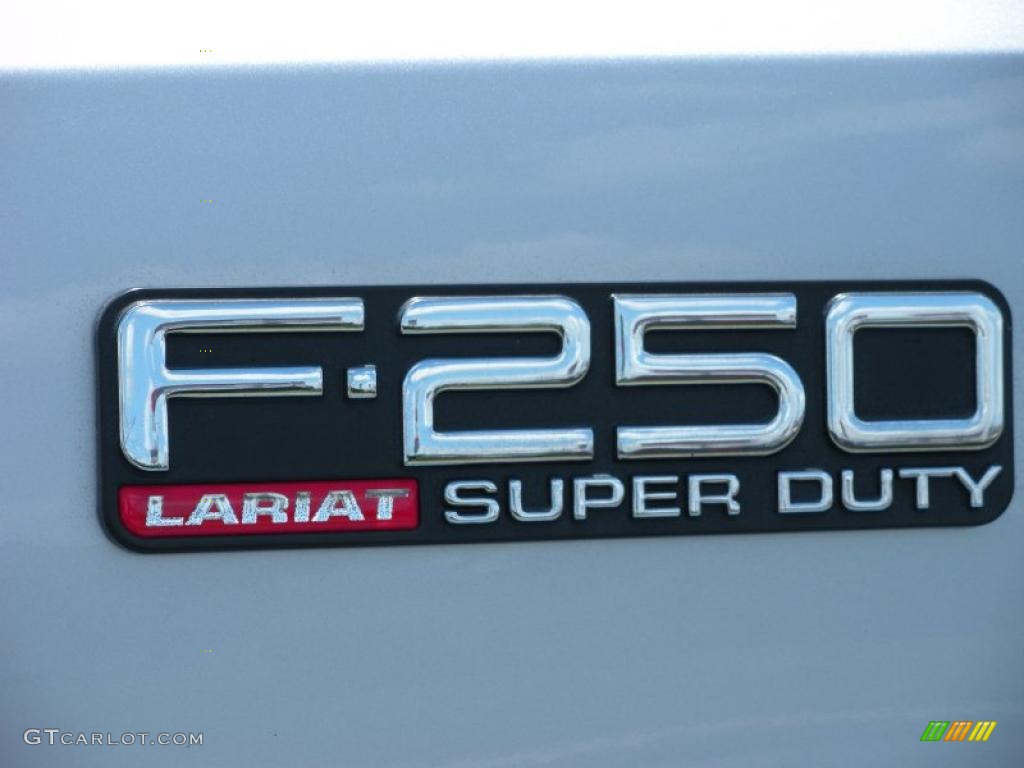2004 F250 Super Duty Lariat Crew Cab 4x4 - Silver Metallic / Medium Flint photo #9