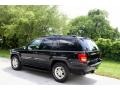 2000 Black Jeep Grand Cherokee Limited 4x4  photo #5