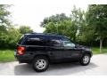 Black - Grand Cherokee Limited 4x4 Photo No. 10