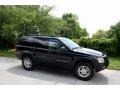 Black - Grand Cherokee Limited 4x4 Photo No. 12