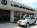 Savannah Metallic - RX 350 AWD Photo No. 1