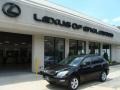 Black Onyx - RX 350 AWD Photo No. 1
