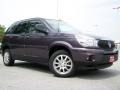 Amethyst Metallic 2007 Buick Rendezvous CXL